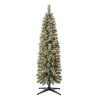 Christmas Trees